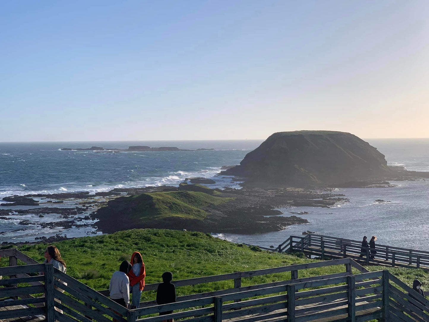 Small Group Philip Island Express Penguin & Wallaby spoting - Max 13 people